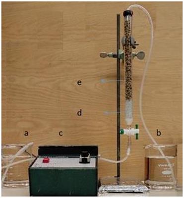 Design of Sustainable Biomaterial Composite Adsorbents for Point-of-Use Removal of Lead Ions From Water